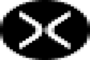 لوغو-شركة-إكس-سي-ماركت