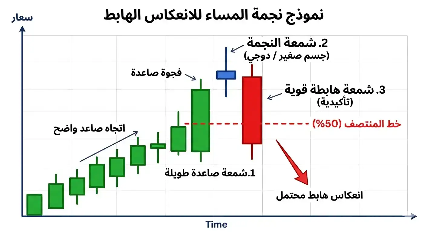قواعد تكوين نموذج نجمة المساء