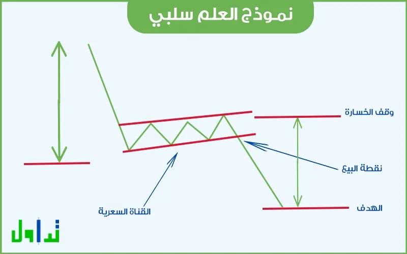 نموذج العلم السلبي