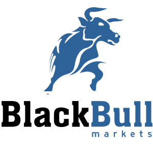 تقييم شركة بلاك بول ماركتس Black Bull Markets لعام 2022